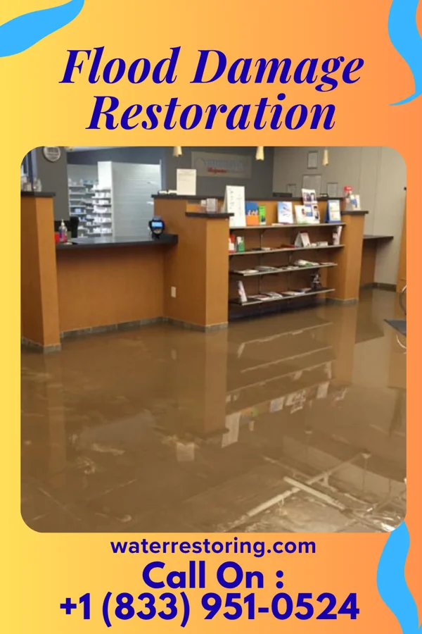 Flood Damage Restoration in Galva, IL
